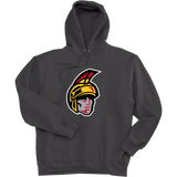 Seacoast Spartans (Ice Hockey) Ultimate Cotton - Pullover Hooded Sweatshirt